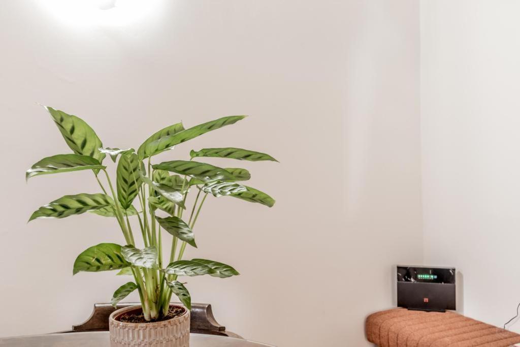 Casa Ghetto 13 Apartman Róma Kültér fotó